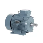 Havells(ES4100) 1 HP Single Phase 4 Pole Foot Mounted Motor, 1500 RPM, 1 Year Warranty